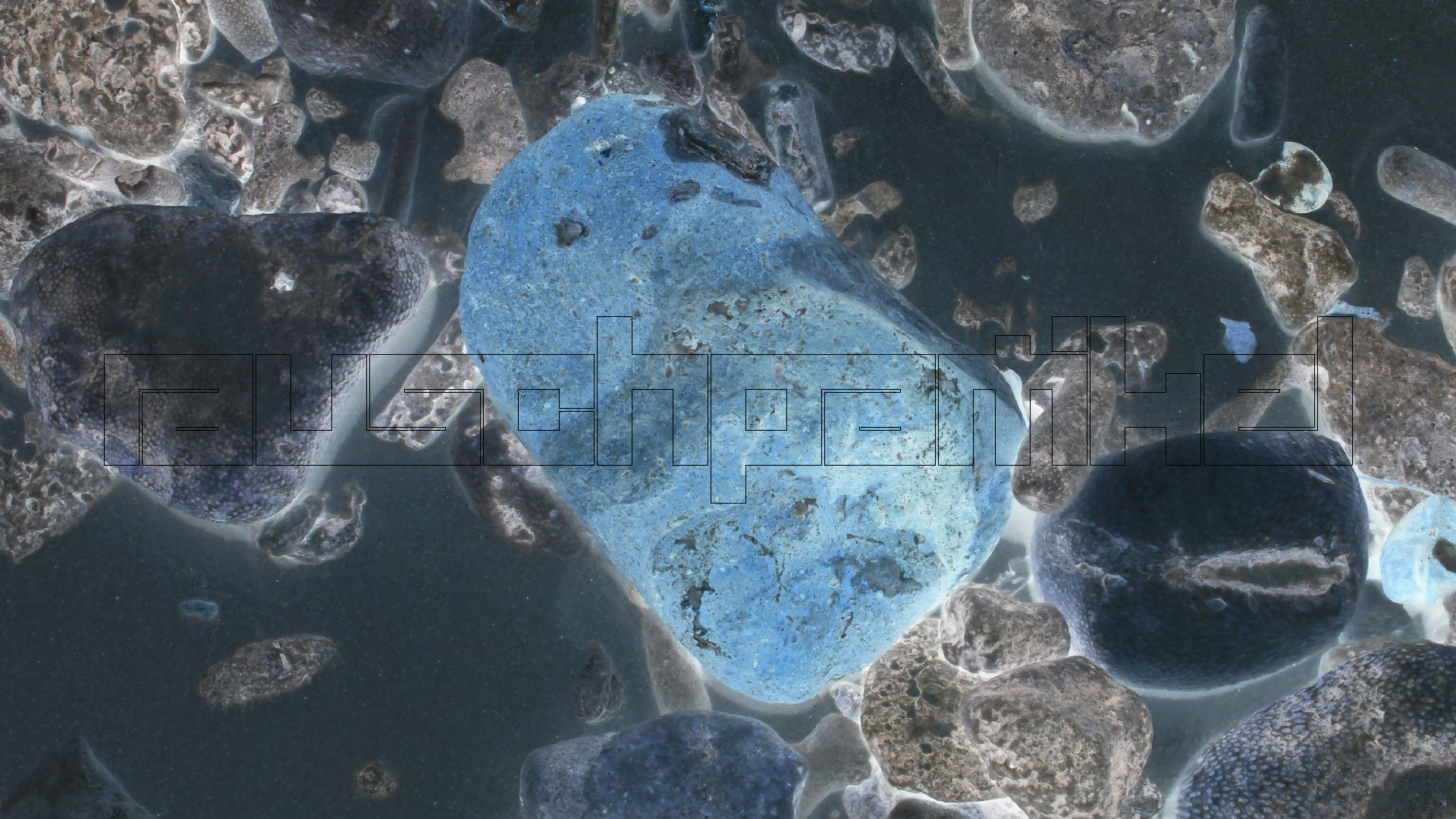 2022-04-25 Cas Abao (Foto)