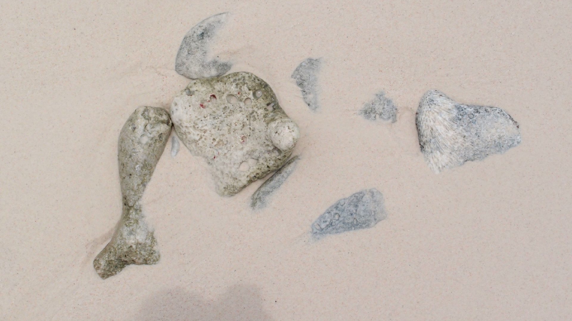 2022-04-25 Cas Abao (Foto)