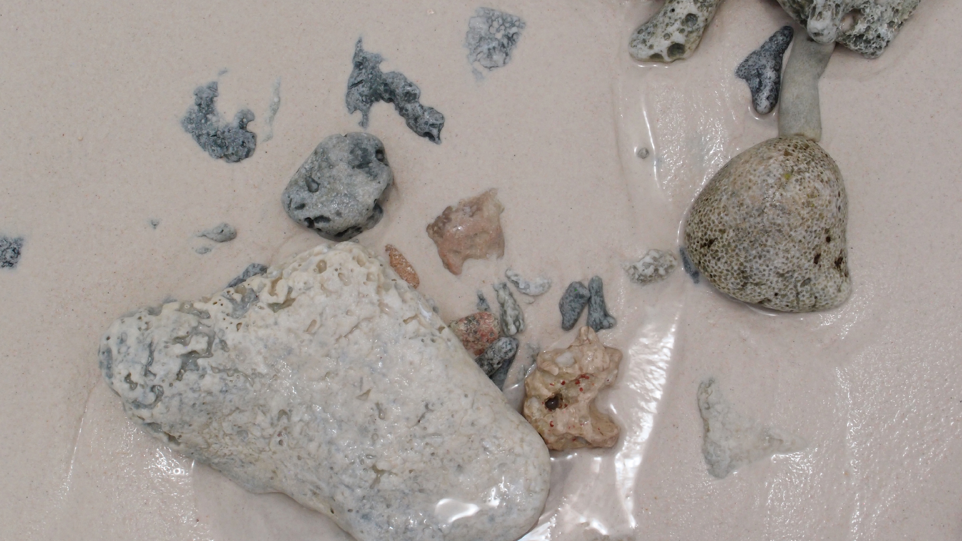 2022-04-25 Cas Abao (Foto)