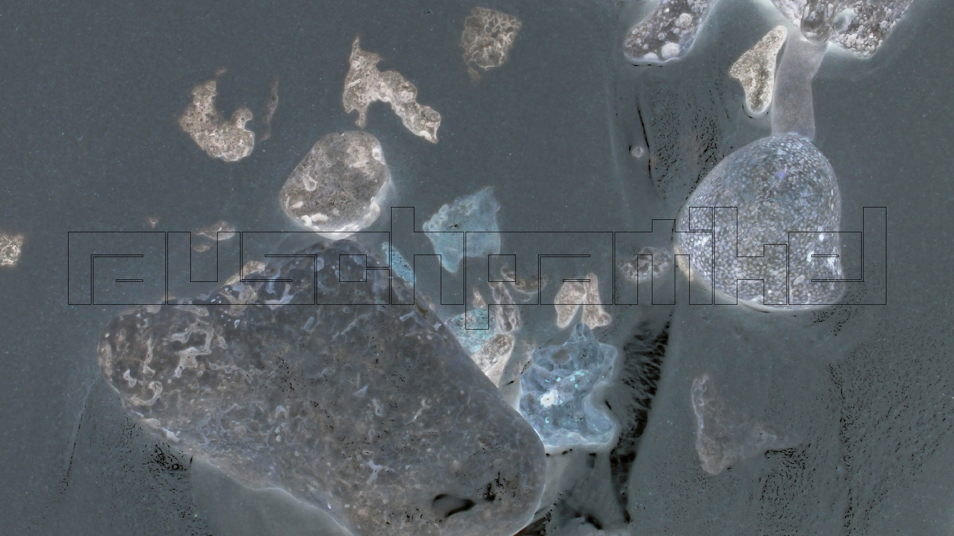 2022-04-25 Cas Abao (Foto)