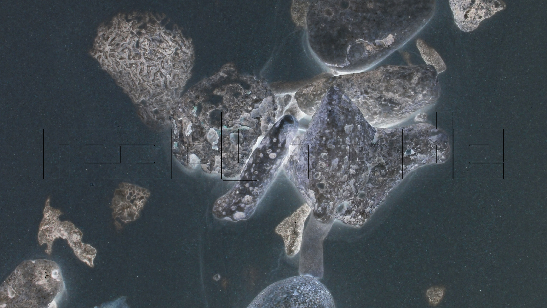 2022-04-25 Cas Abao (Foto)