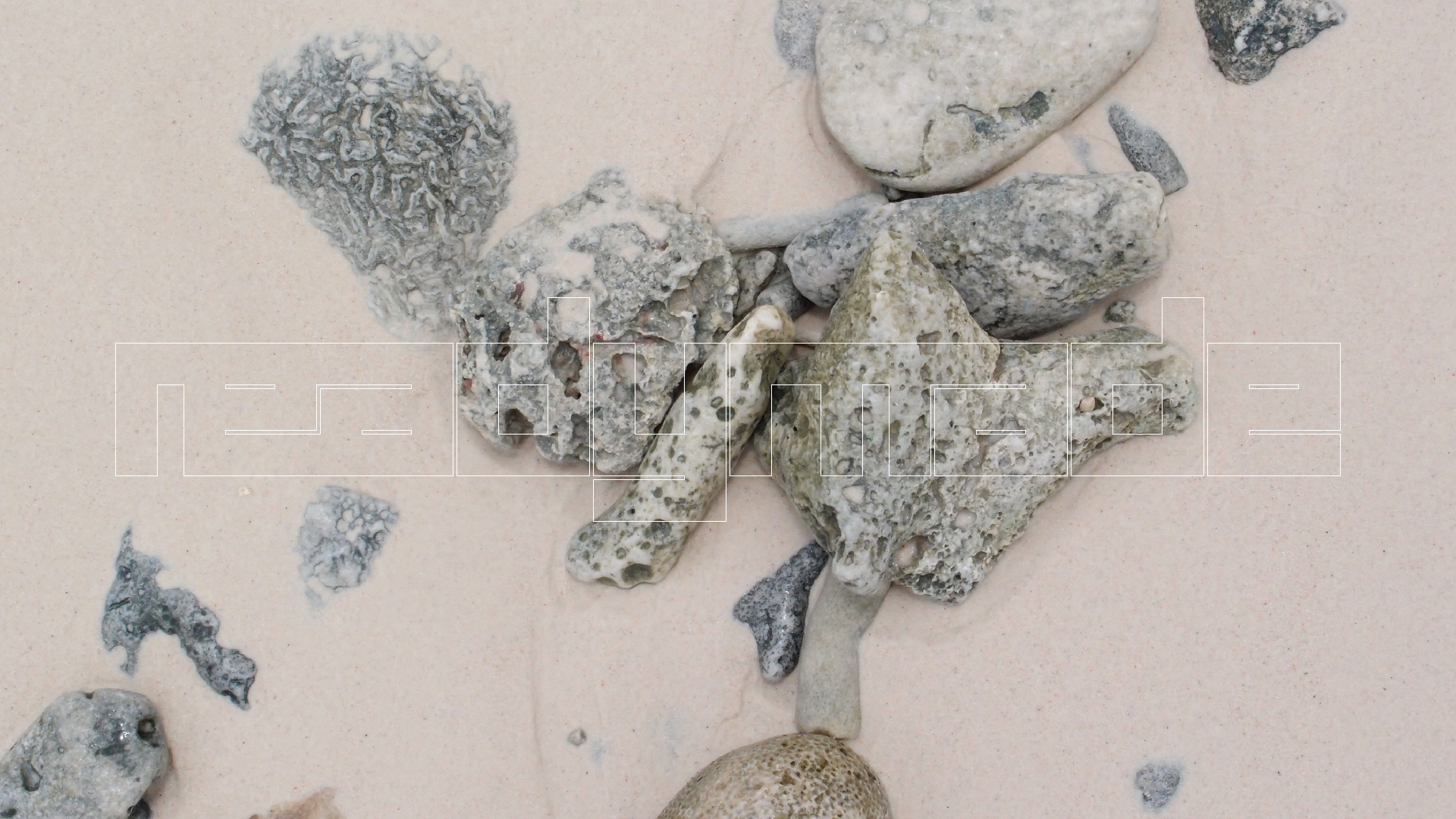 2022-04-25 Cas Abao (Foto)