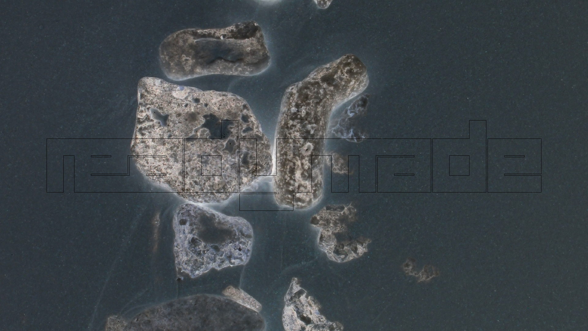 2022-04-25 Cas Abao (Foto)