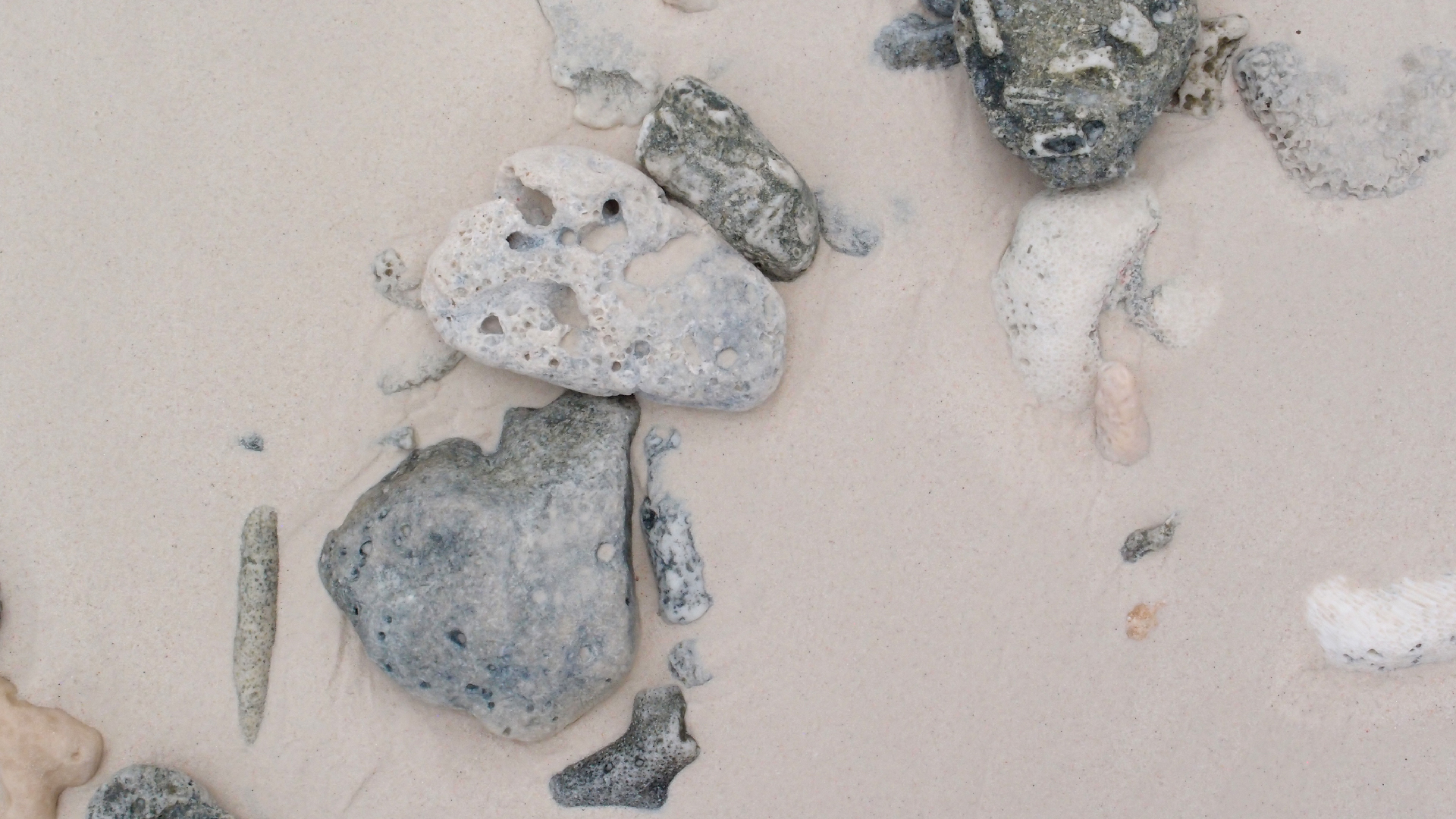 2022-04-25 Cas Abao (Foto)