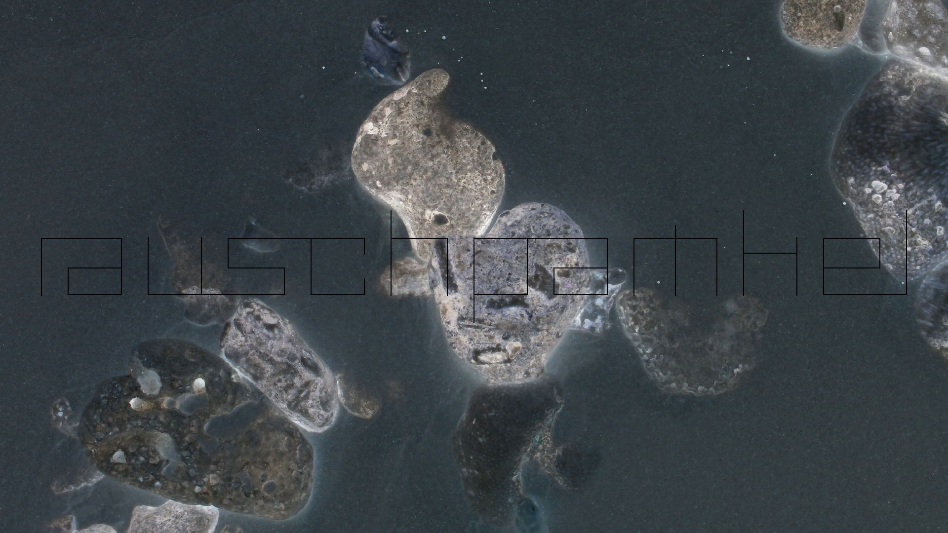 2022-04-25 Cas Abao (Foto)