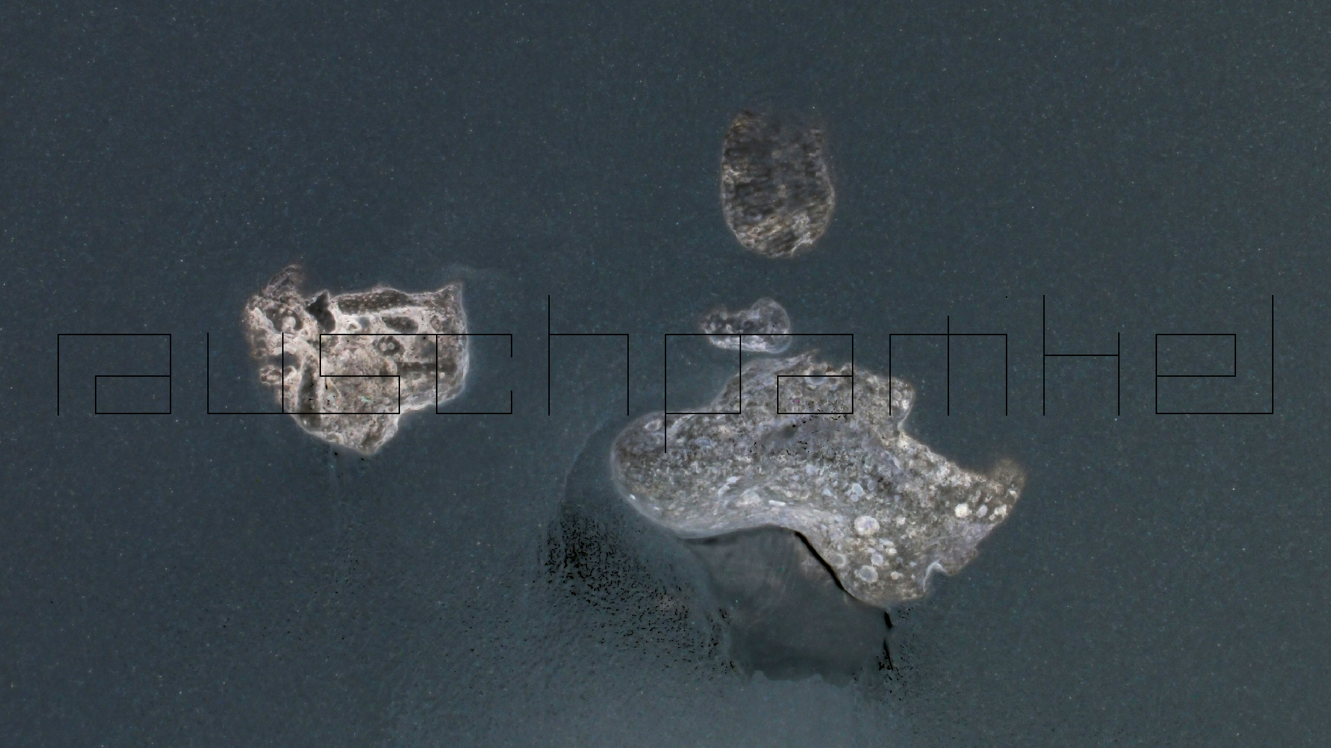 2022-04-25 Cas Abao (Foto)