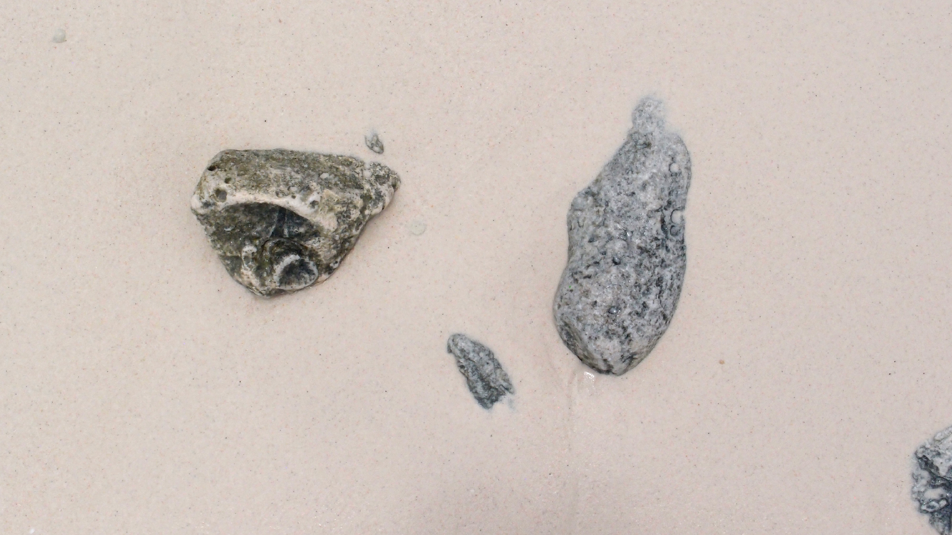 2022-04-25 Cas Abao (Foto)