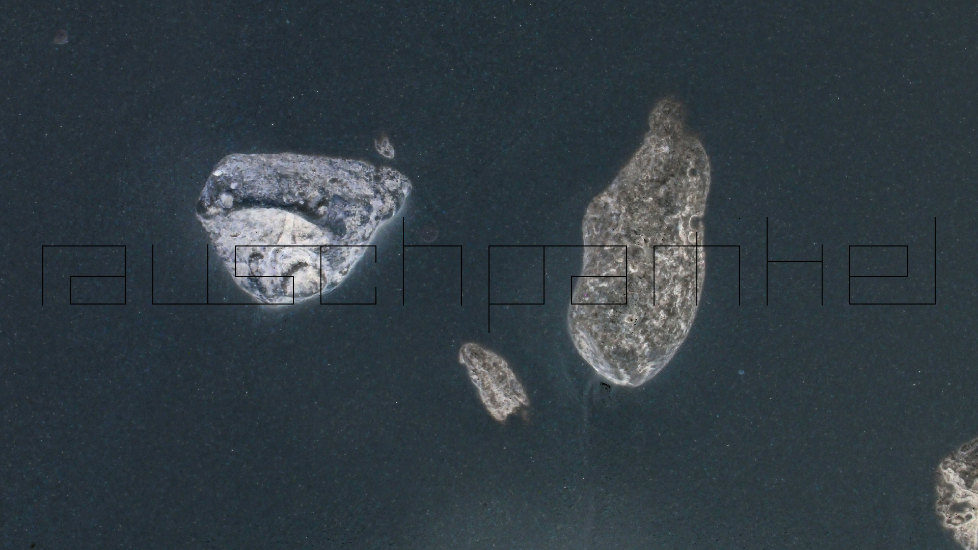 2022-04-25 Cas Abao (Foto)