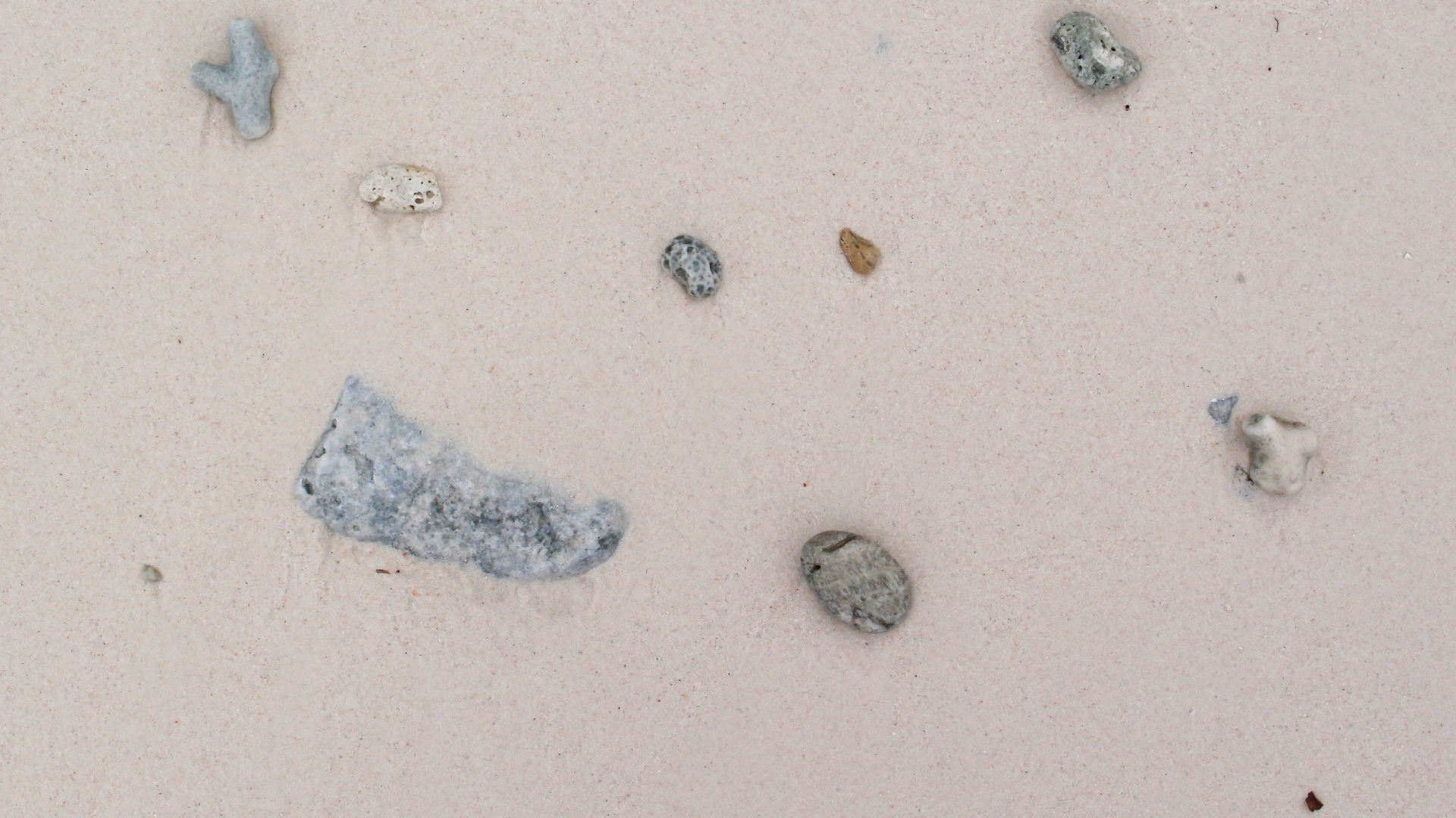 2022-04-25 Cas Abao (Foto)