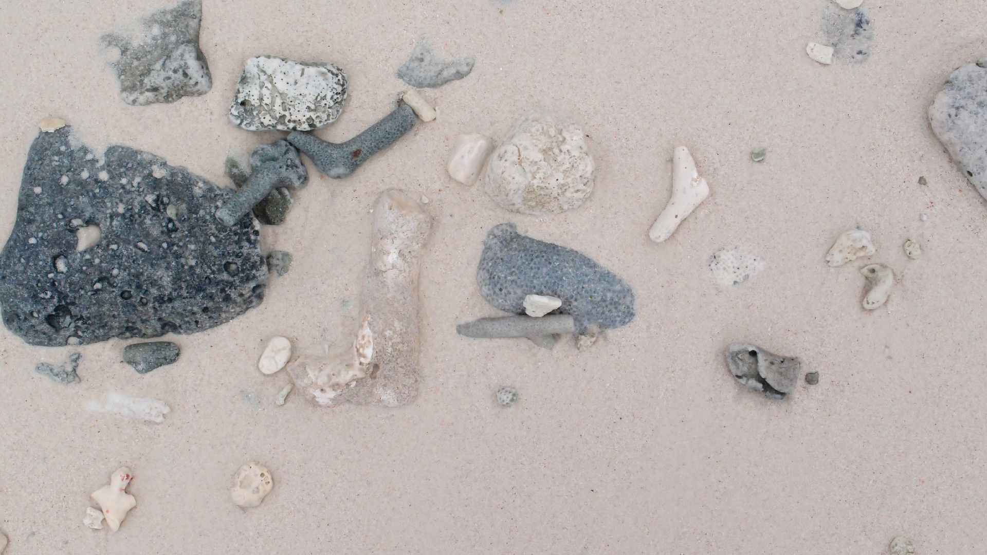 2022-04-25 Cas Abao (Foto)