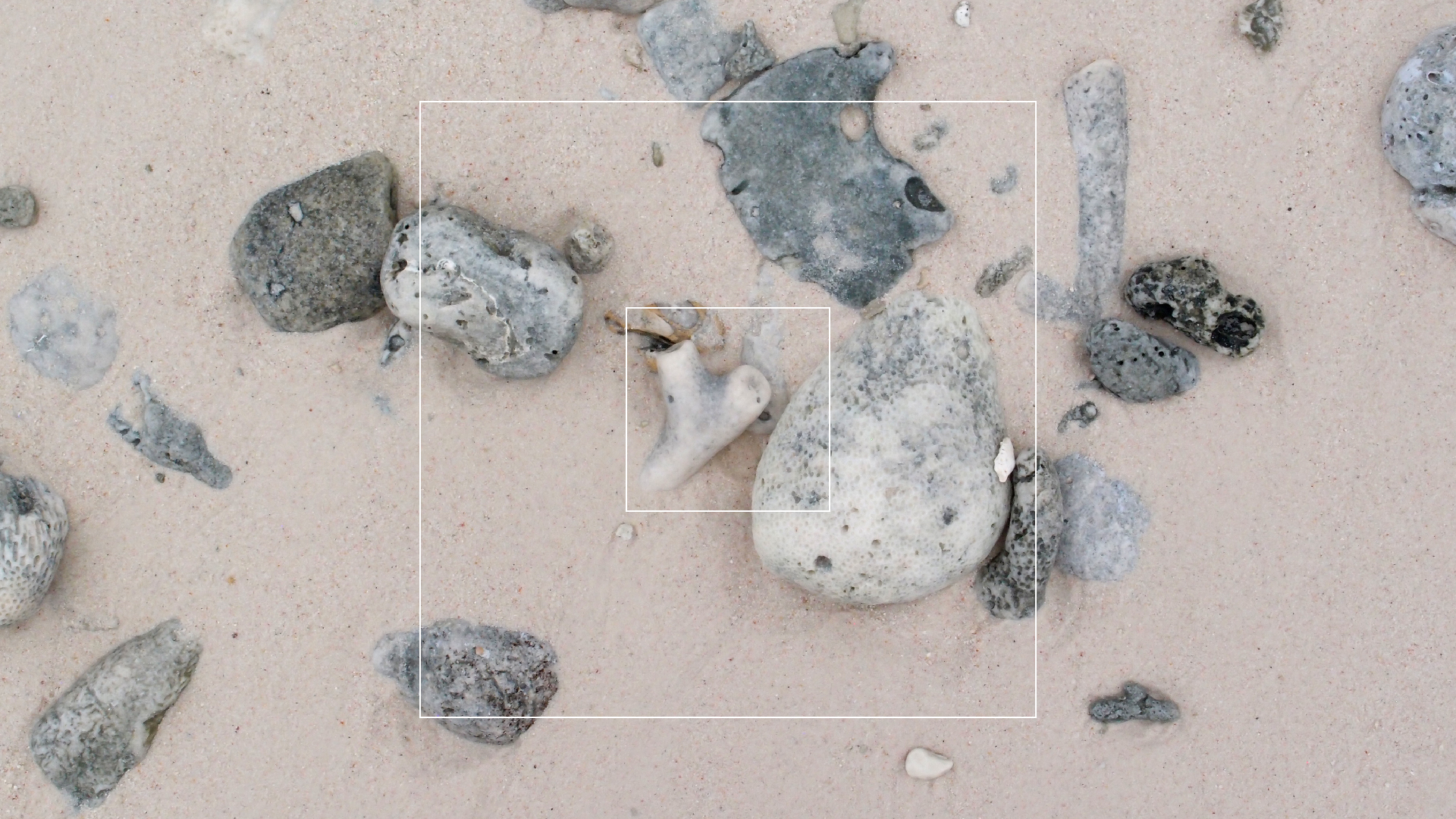 2022-04-25 Cas Abao (Foto)