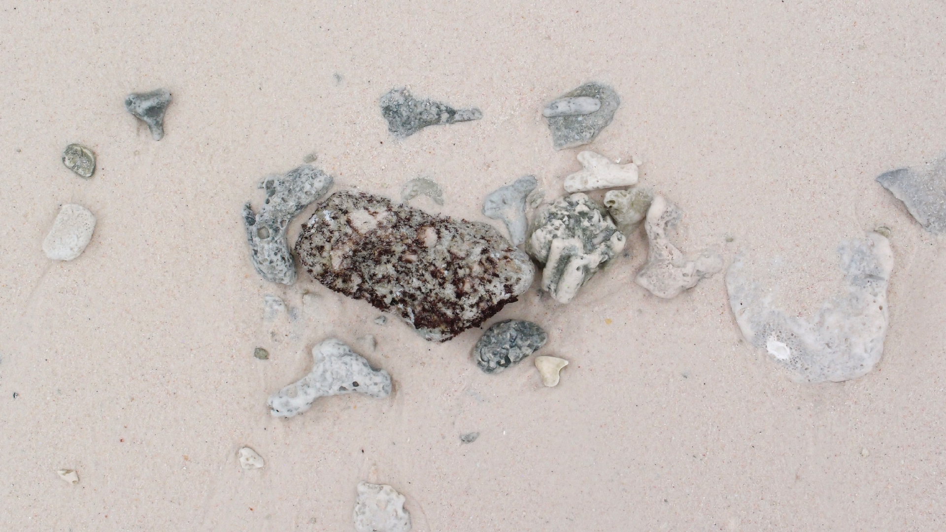 2022-04-25 Cas Abao (Foto)