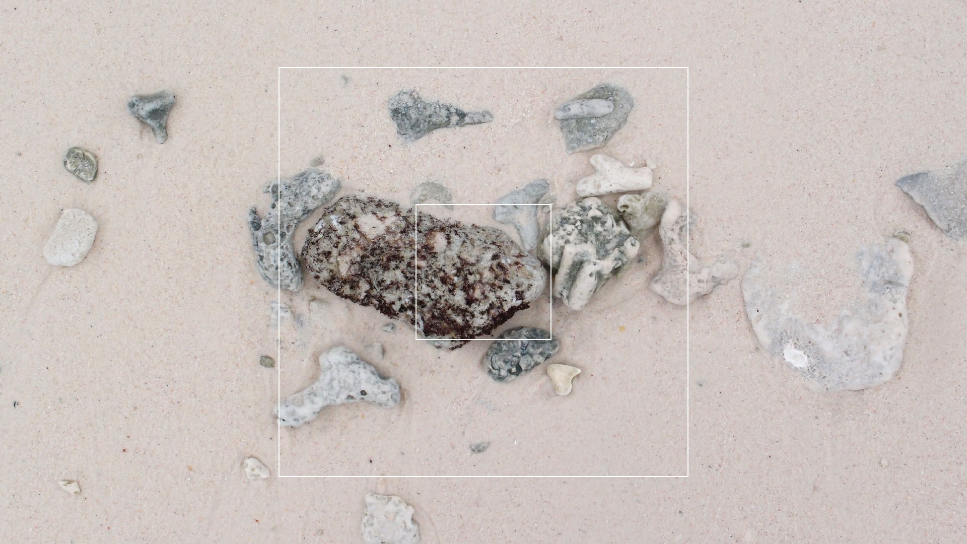 2022-04-25 Cas Abao (Foto)