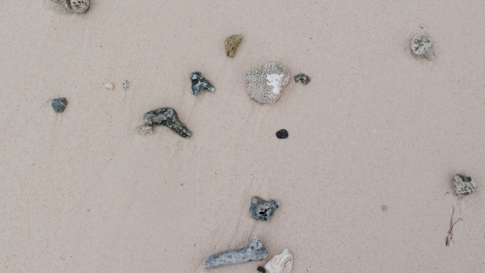 2022-04-25 Cas Abao (Foto)