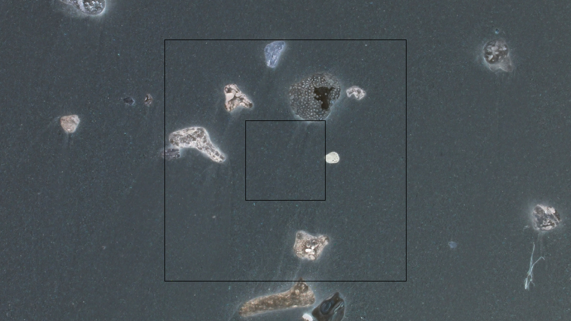 2022-04-25 Cas Abao (Foto)