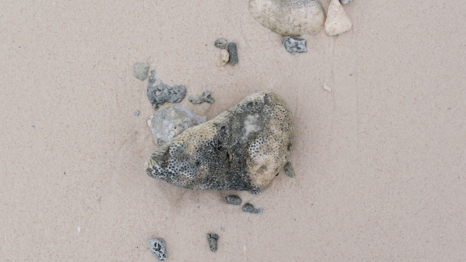 2022-04-25 Cas Abao (Foto)