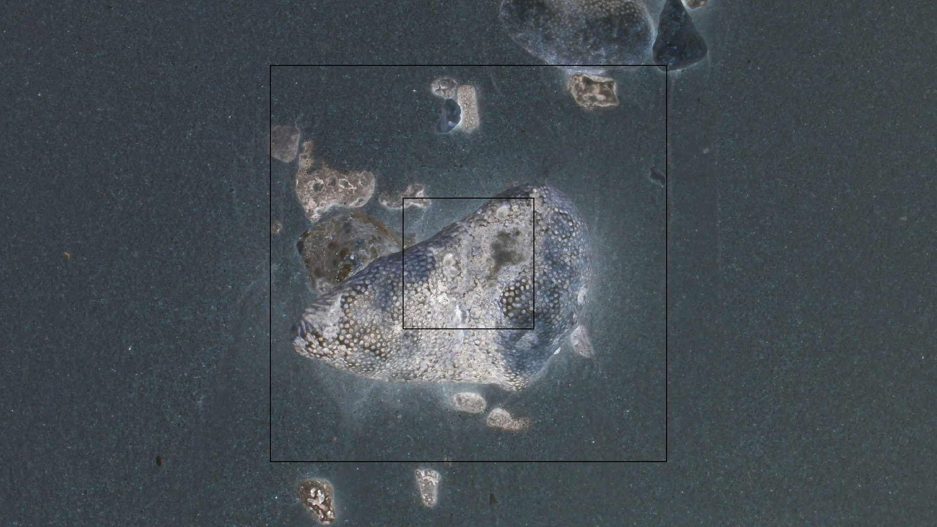 2022-04-25 Cas Abao (Foto)