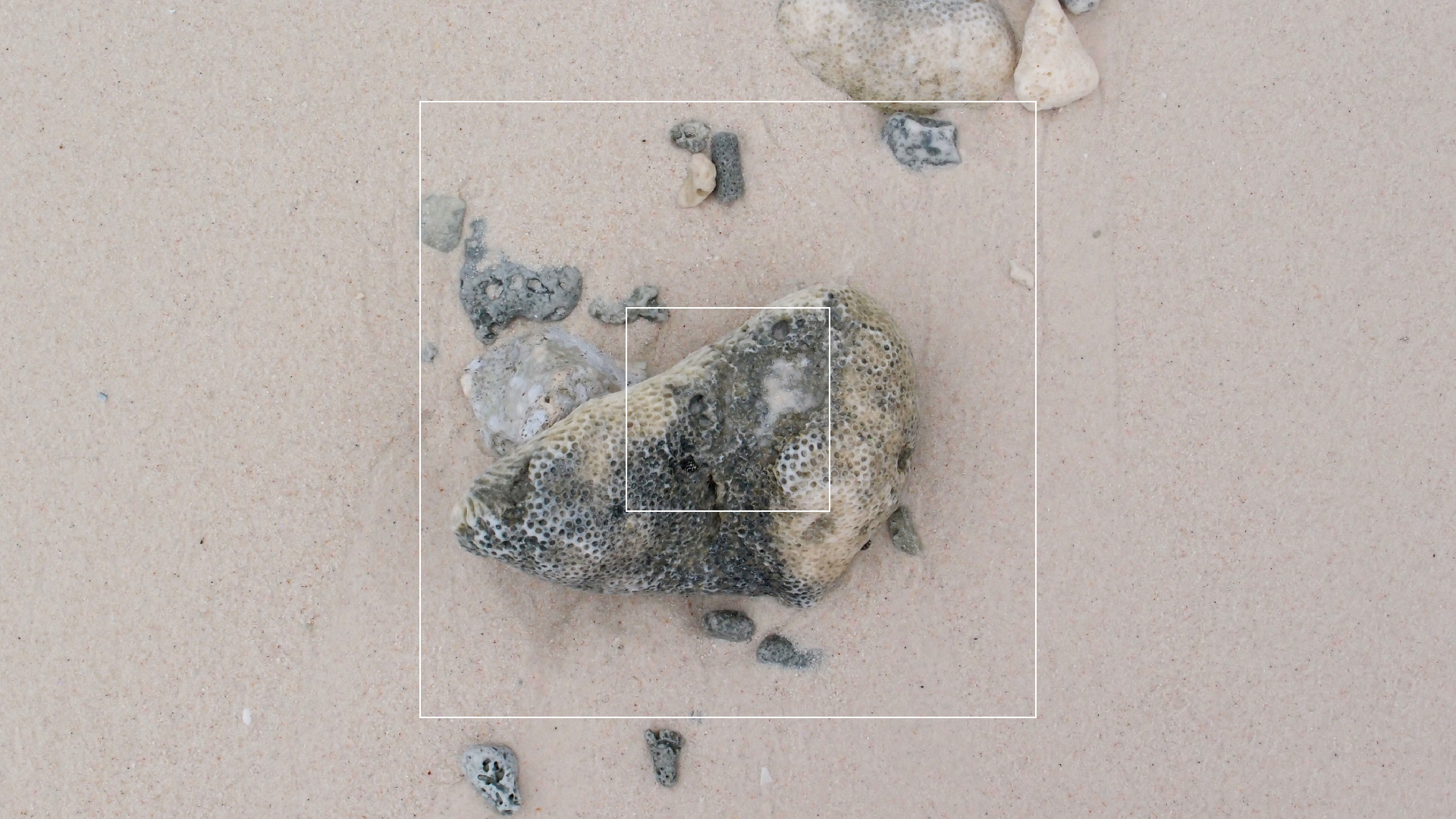 2022-04-25 Cas Abao (Foto)