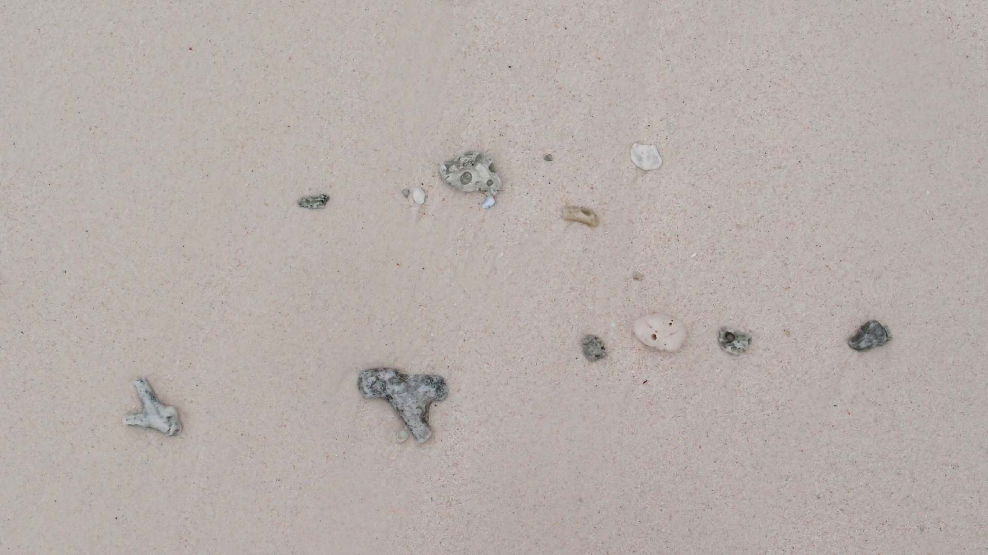 2022-04-25 Cas Abao (Foto)