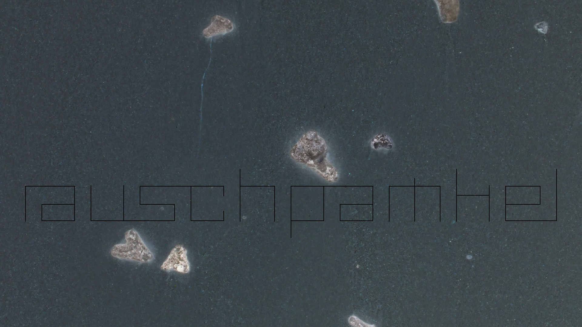 2022-04-25 Cas Abao (Foto)