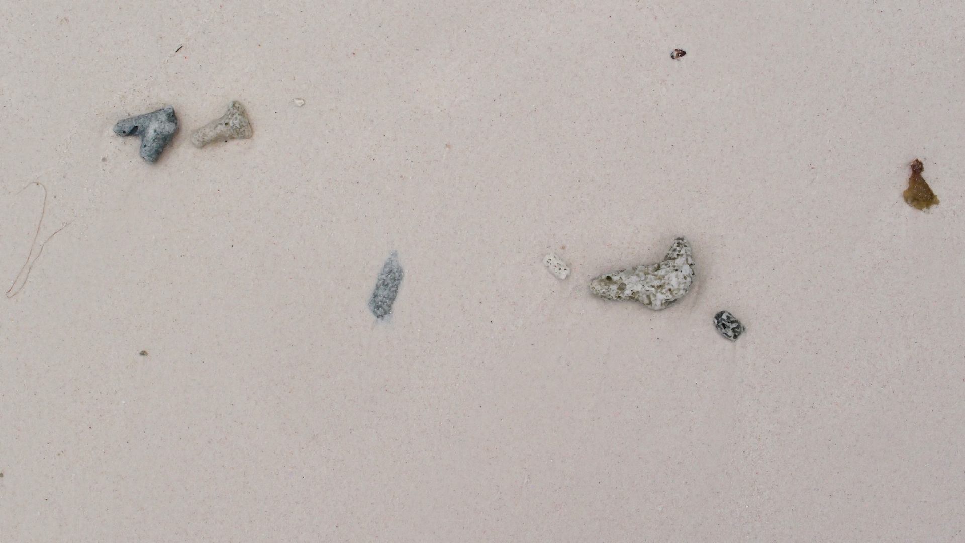 2022-04-25 Cas Abao (Foto)