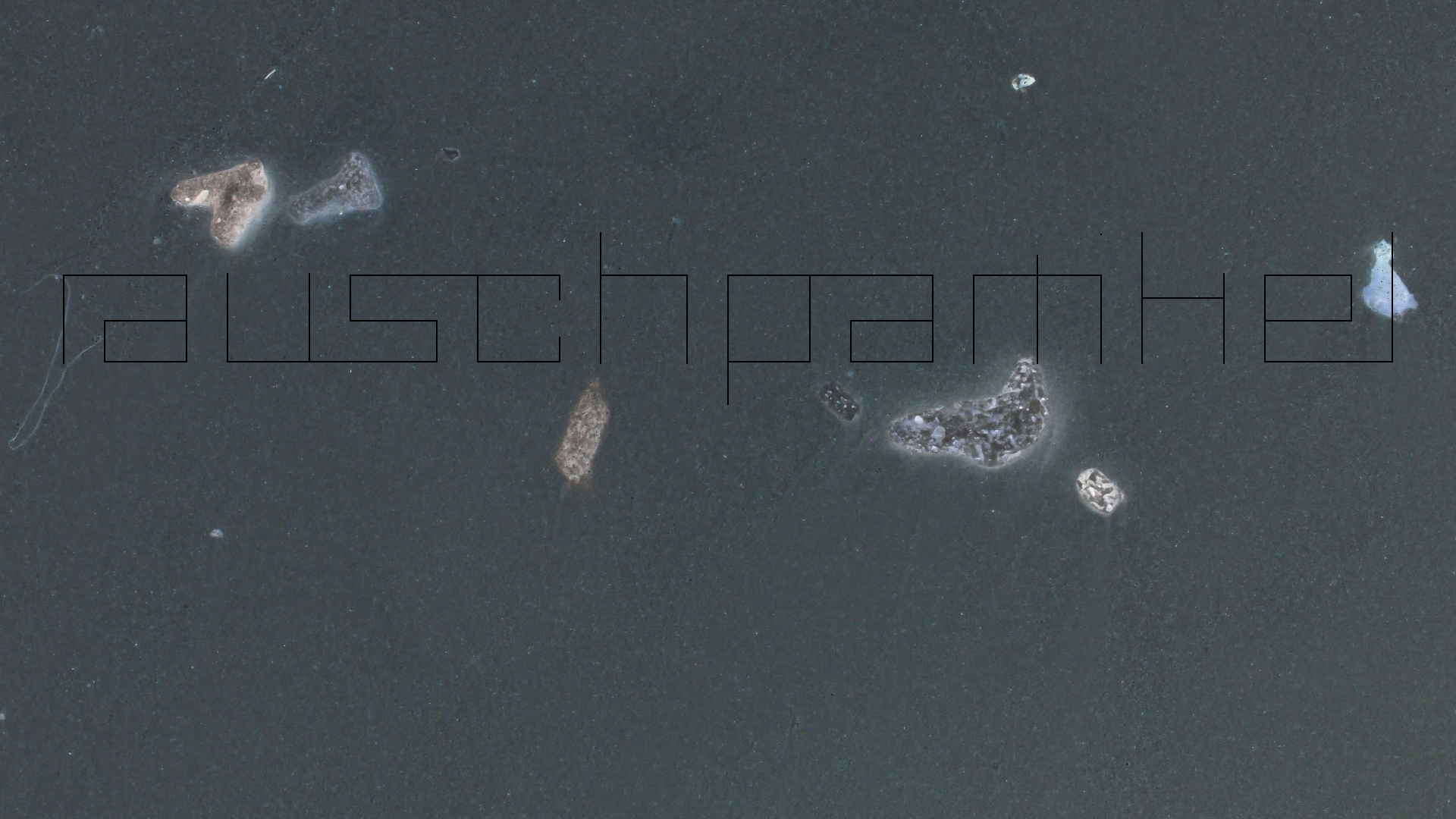 2022-04-25 Cas Abao (Foto)