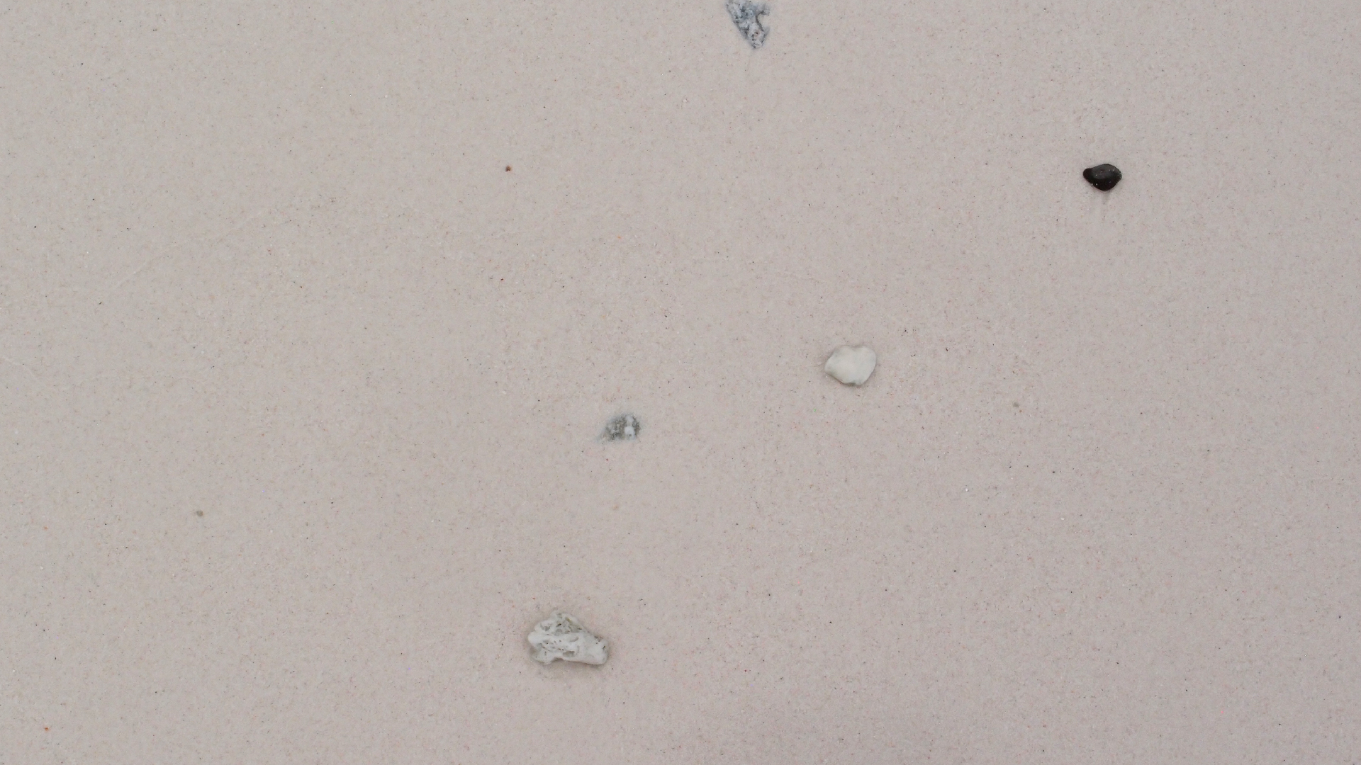 2022-04-25 Cas Abao (Foto)