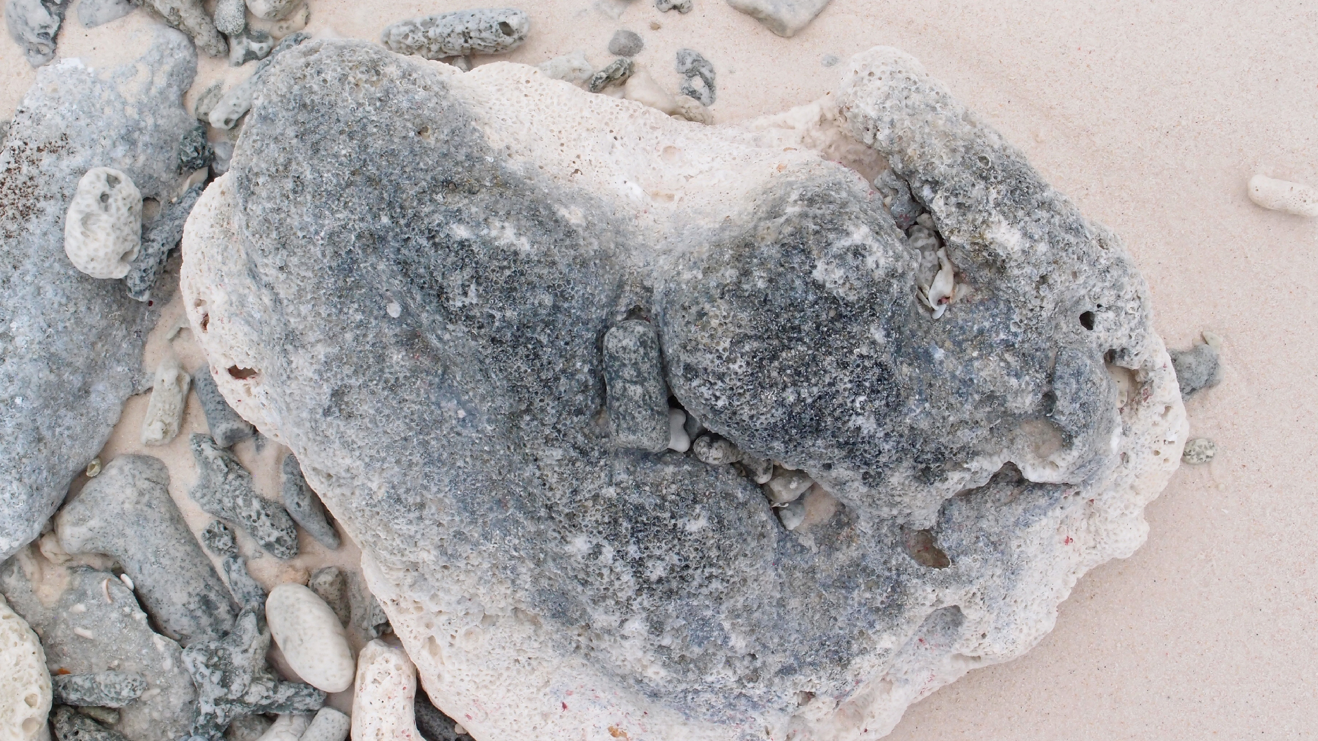 2022-04-25 Cas Abao (Foto)