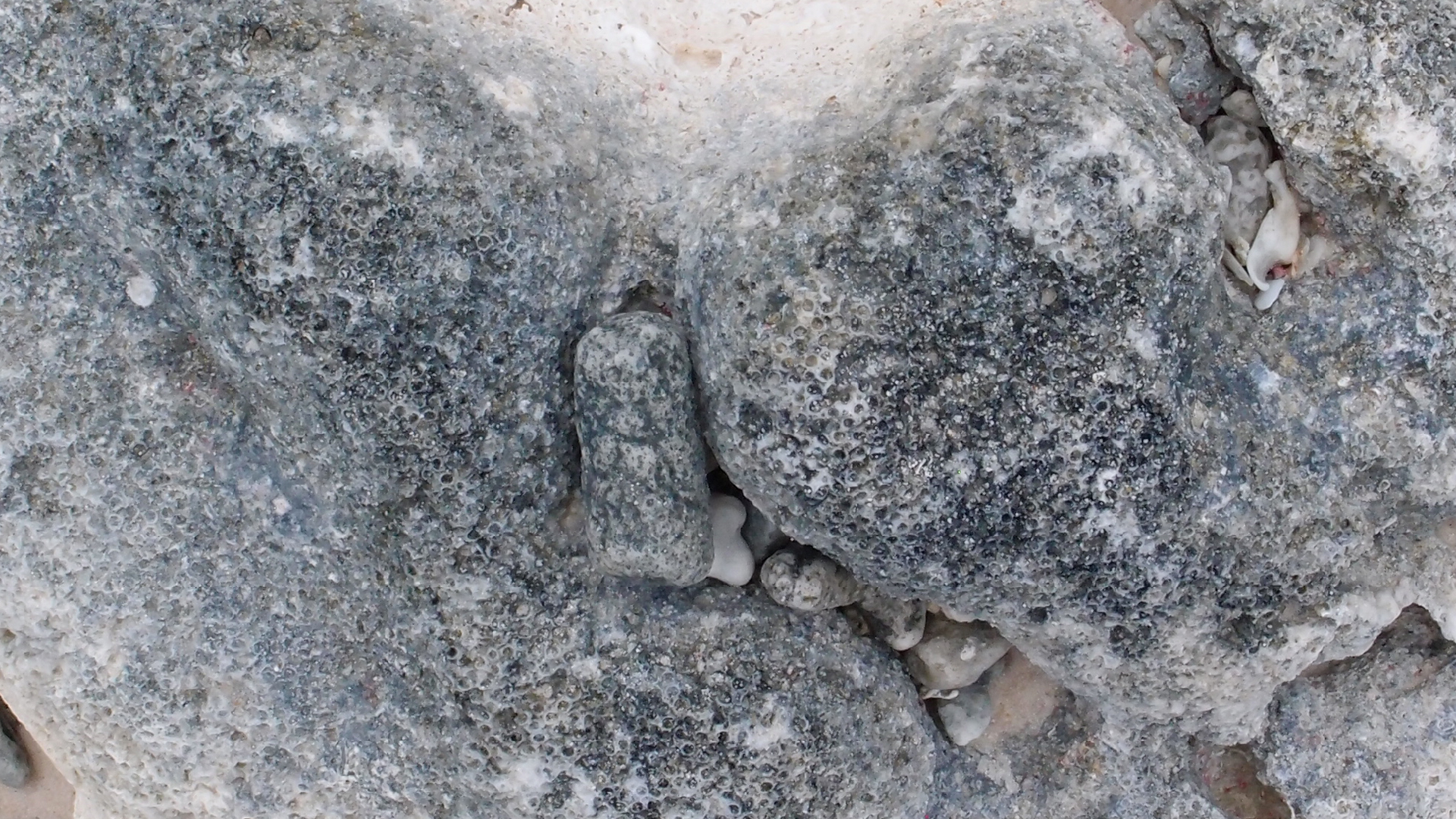 2022-04-25 Cas Abao (Foto)