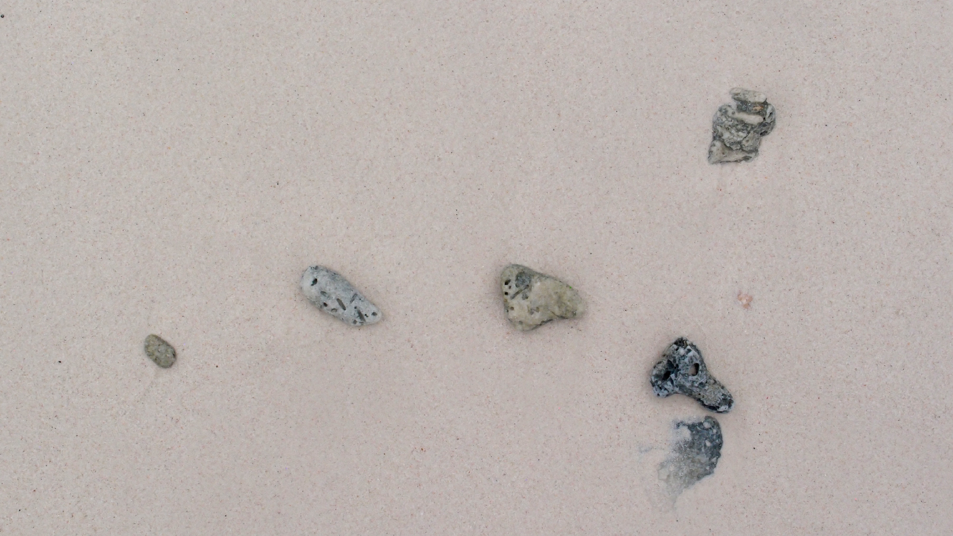 2022-04-25 Cas Abao (Foto)