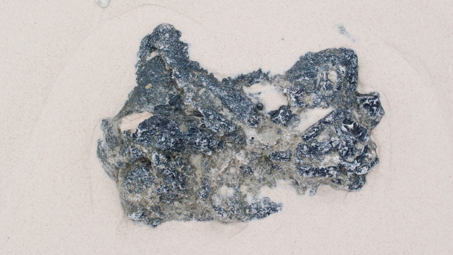 2022-04-25 Cas Abao (Foto)