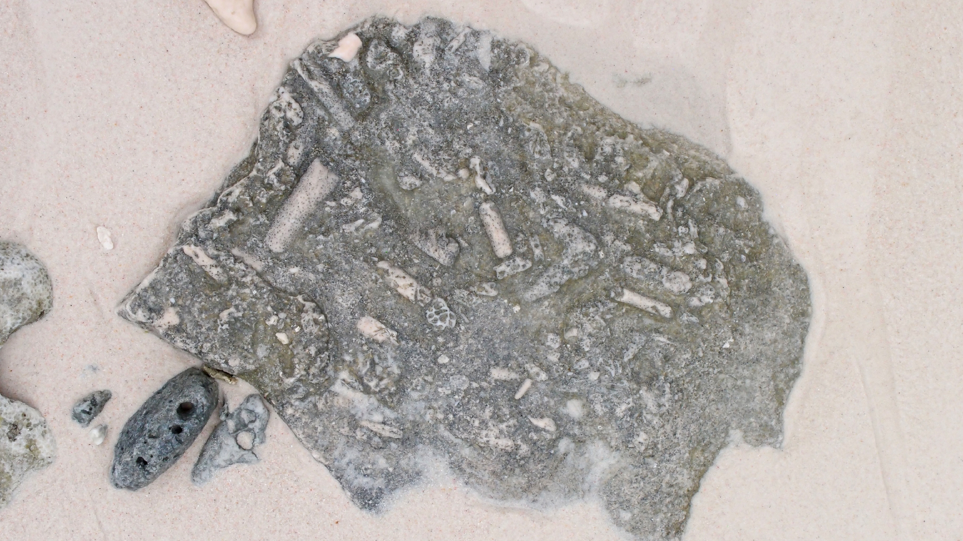 2022-04-25 Cas Abao (Foto)