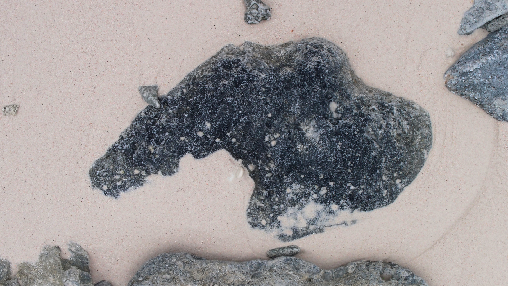 2022-04-25 Cas Abao (Foto)