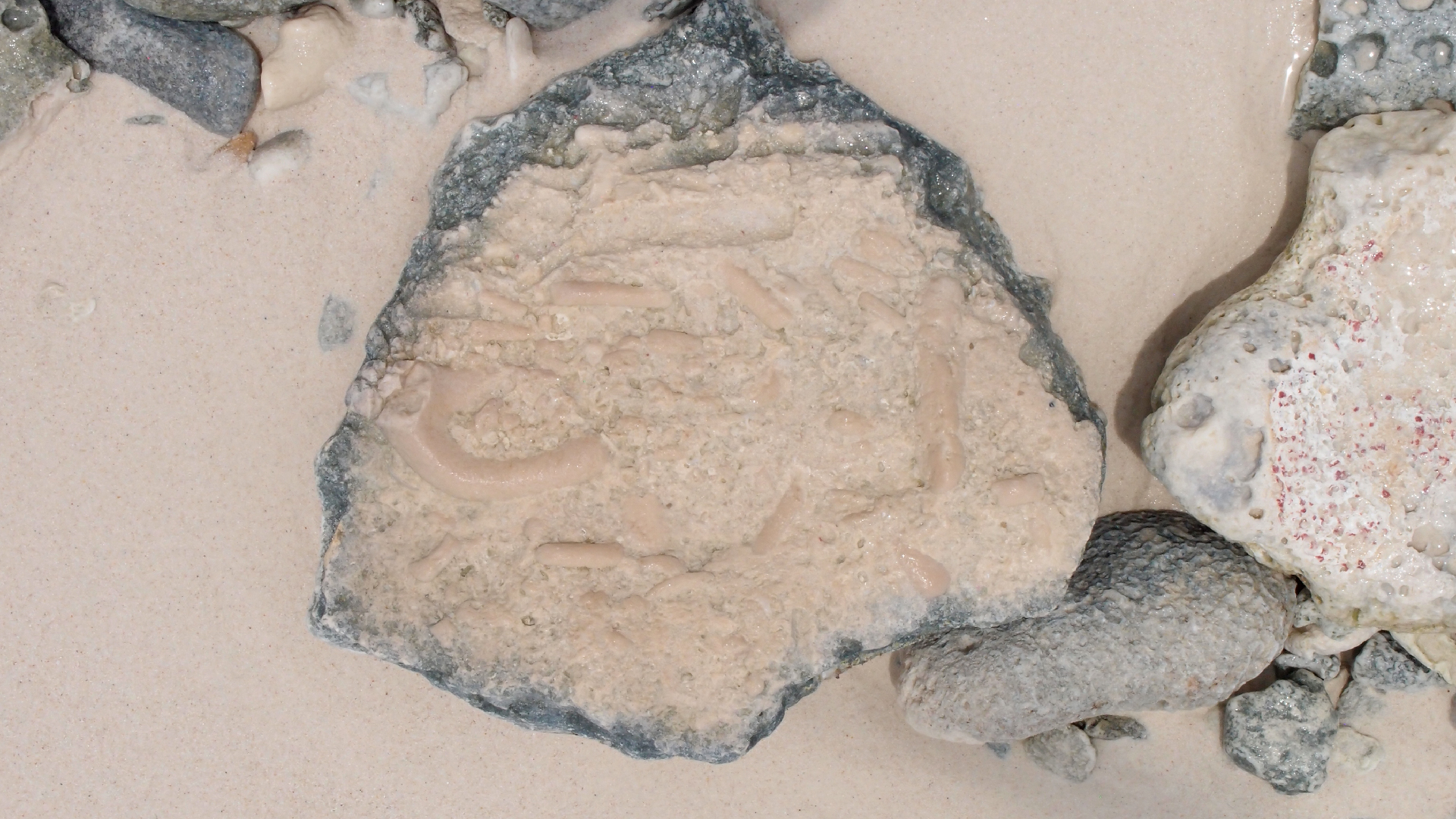 2022-04-25 Cas Abao (Foto)