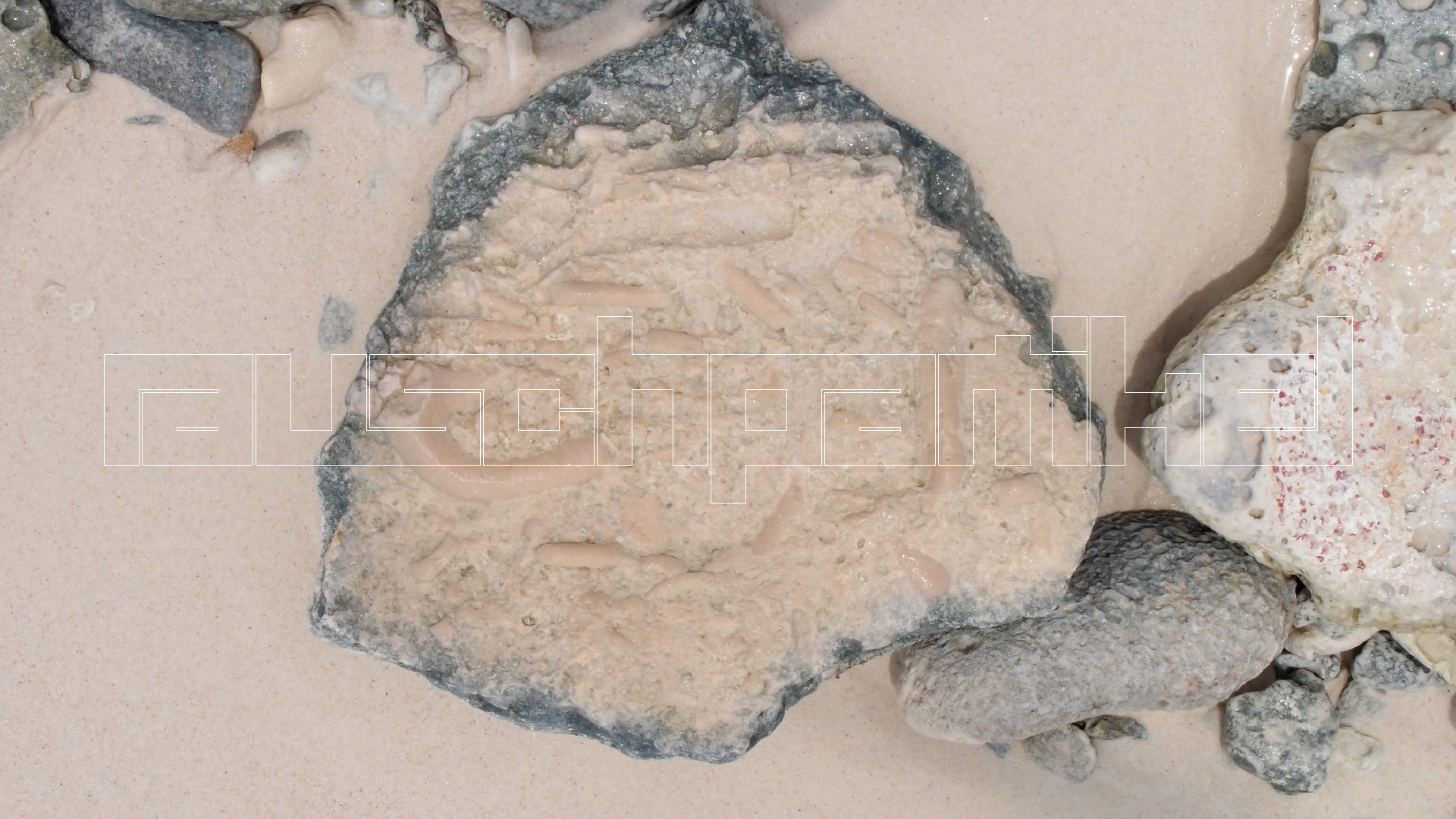 2022-04-25 Cas Abao (Foto)