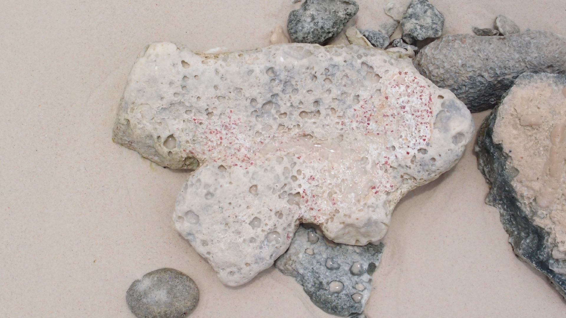 2022-04-25 Cas Abao (Foto)