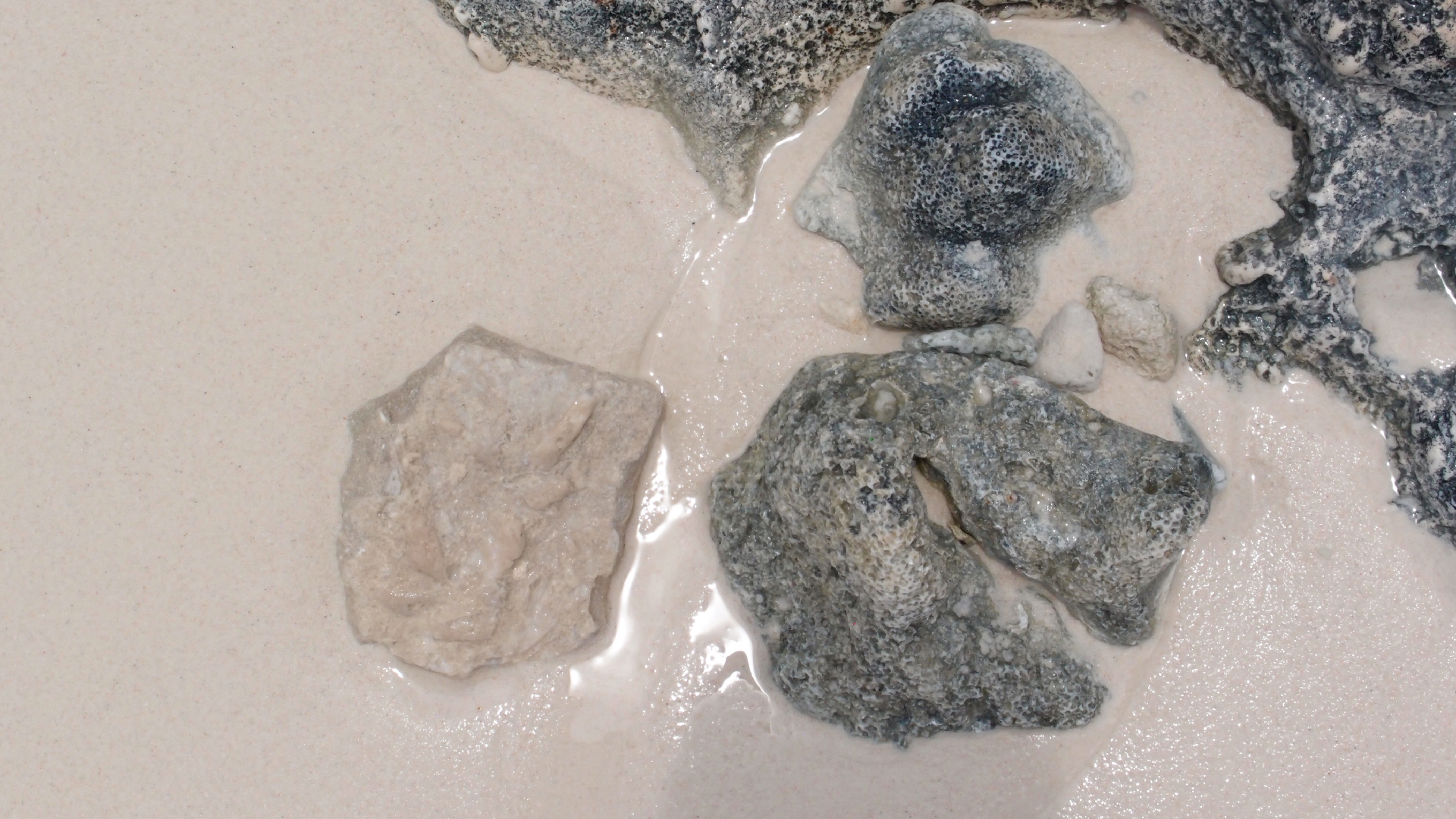 2022-04-25 Cas Abao (Foto)