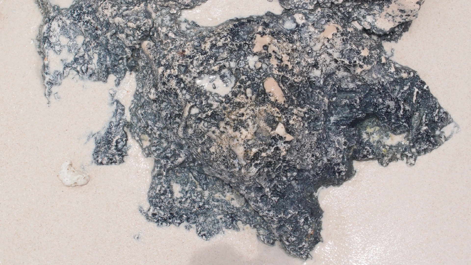 2022-04-25 Cas Abao (Foto)