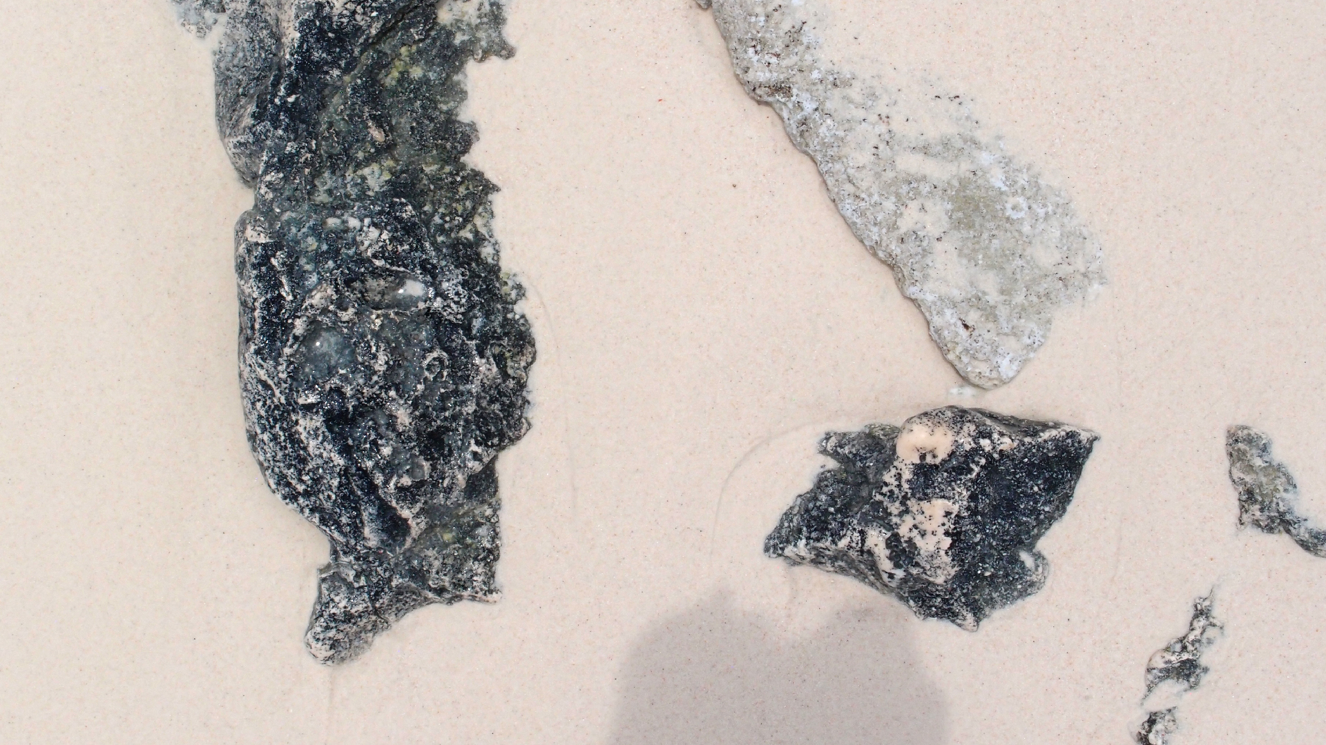 2022-04-25 Cas Abao (Foto)