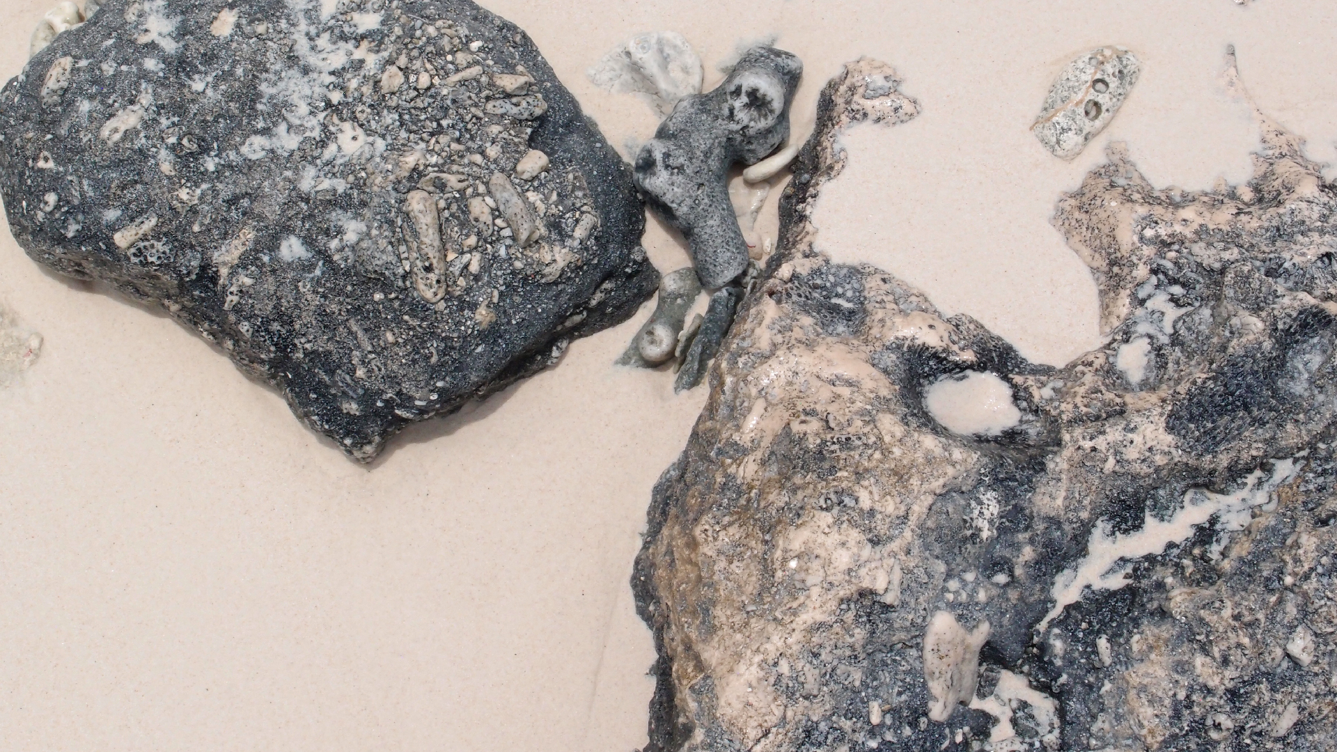 2022-04-25 Cas Abao (Foto)