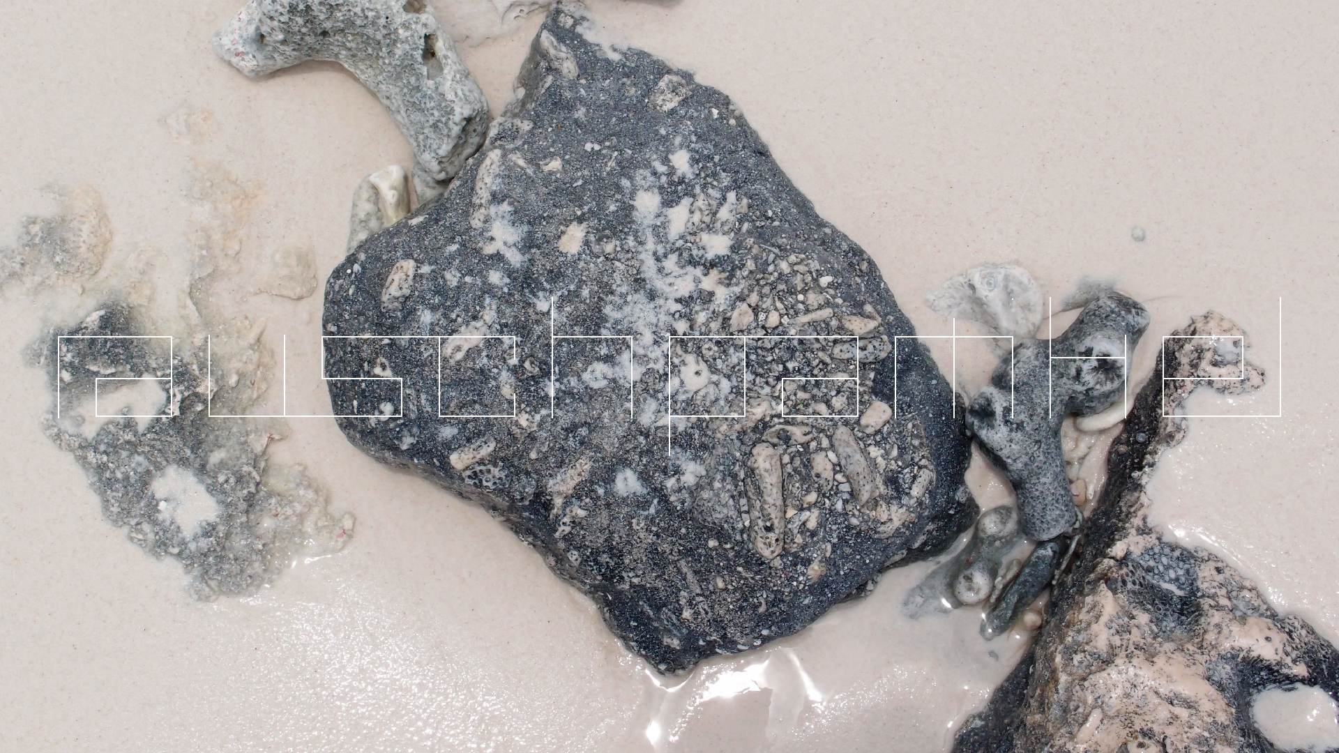 2022-04-25 Cas Abao (Foto)