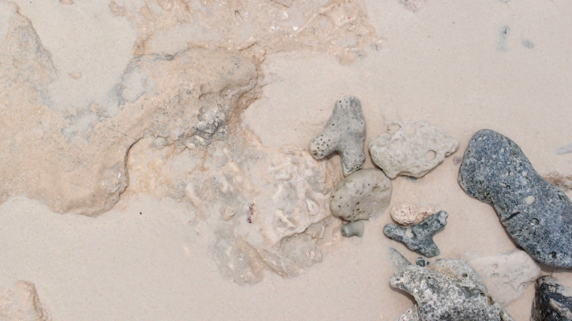 2022-04-25 Cas Abao (Foto)