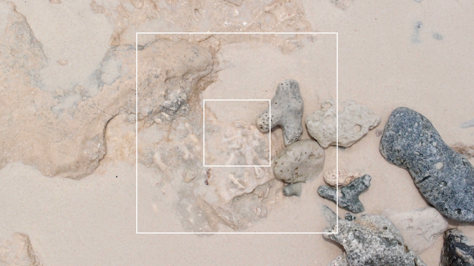 2022-04-25 Cas Abao (Foto)