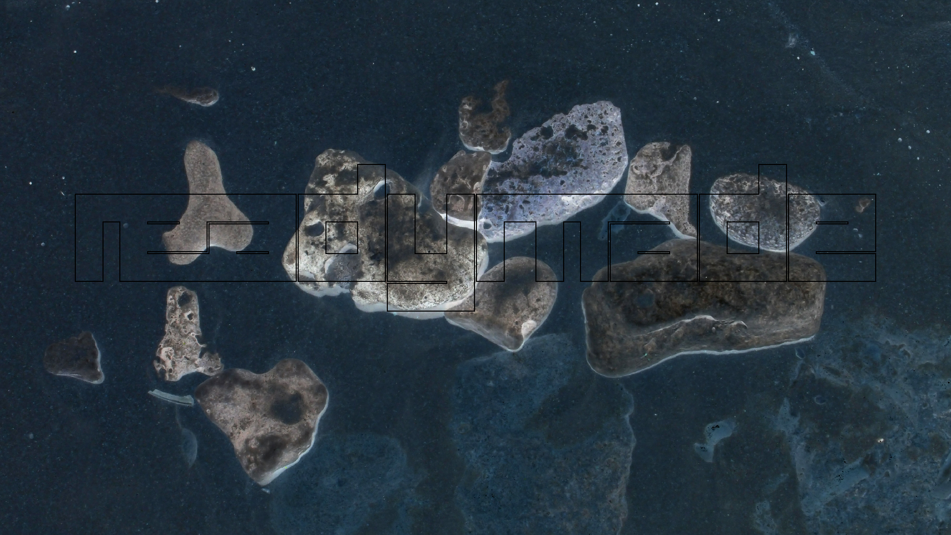 2022-04-25 Cas Abao (Foto)