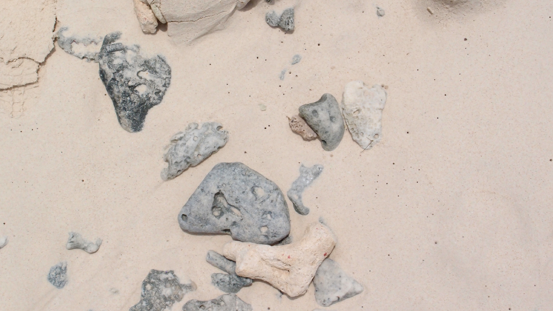 2022-04-25 Cas Abao (Foto)