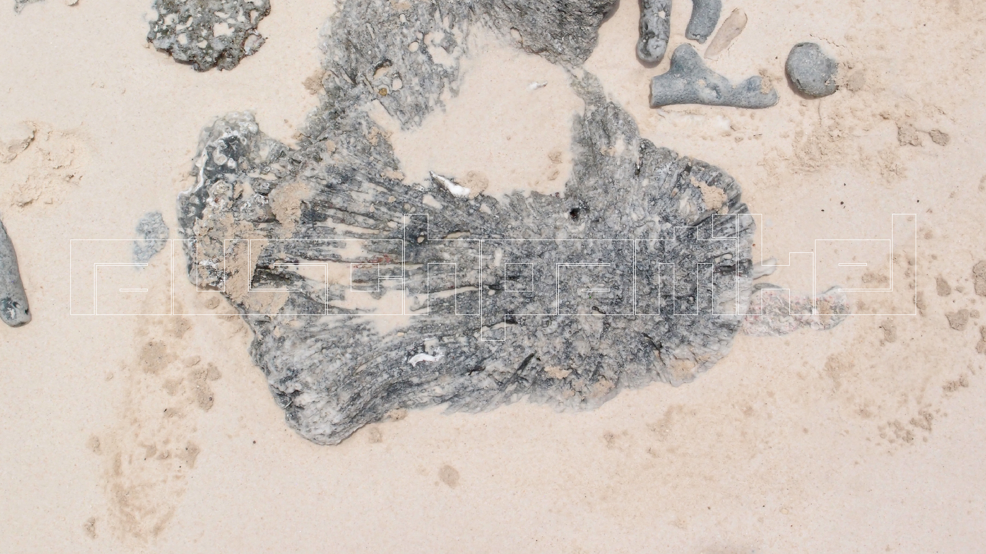 2022-04-25 Cas Abao (Foto)