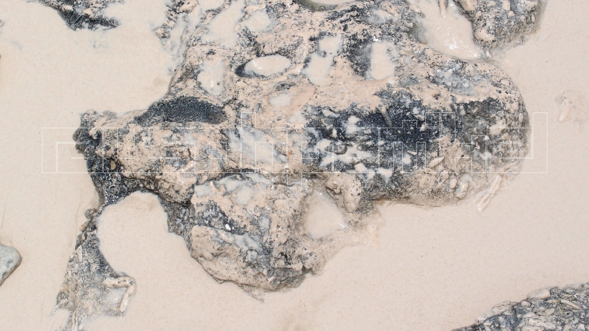 2022-04-25 Cas Abao (Foto)