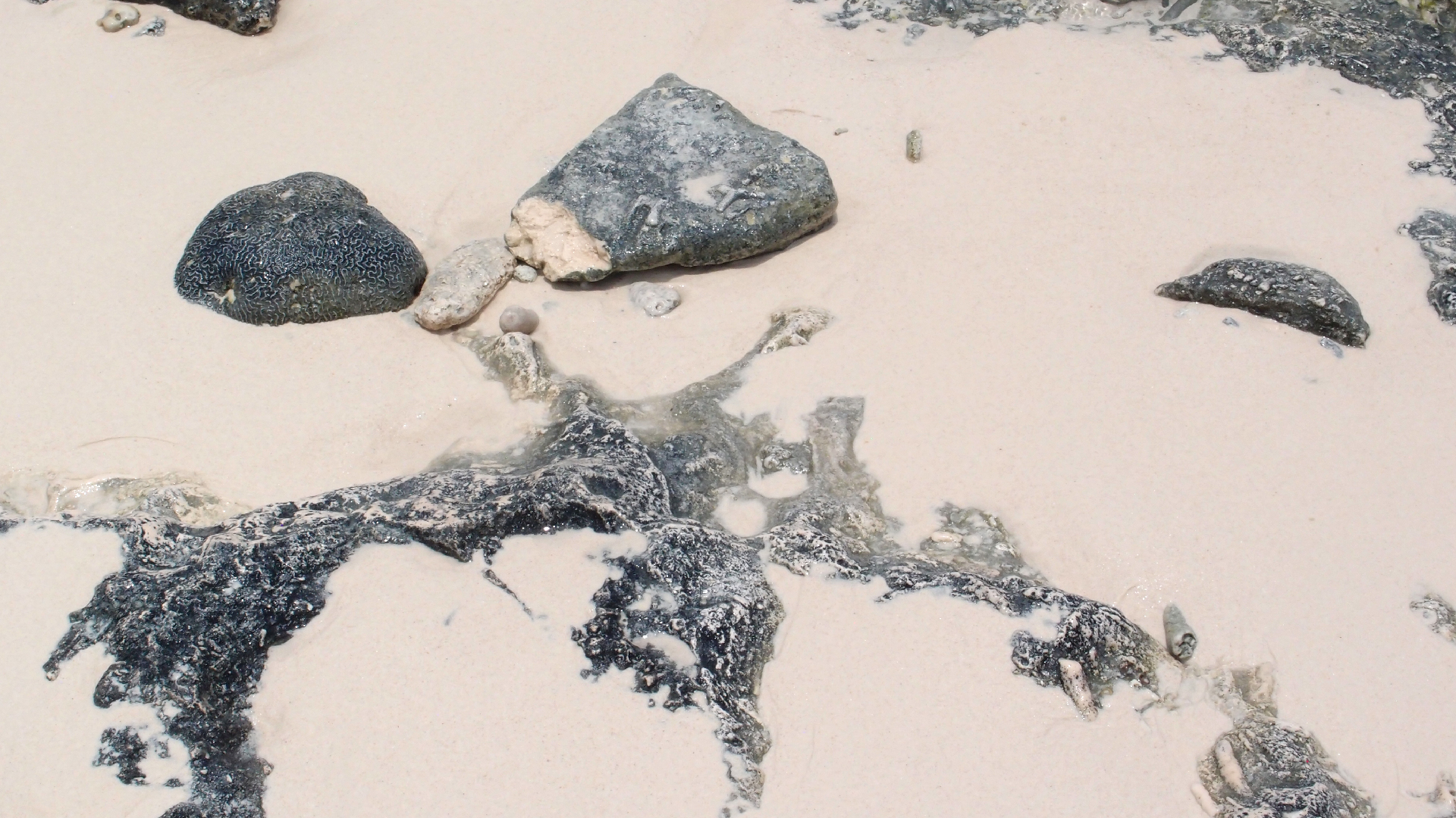 2022-04-25 Cas Abao (Foto)