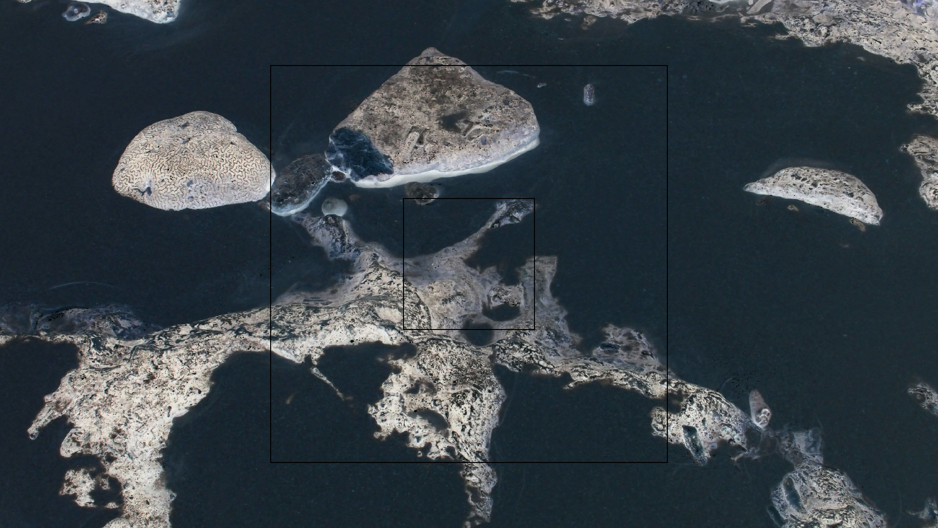 2022-04-25 Cas Abao (Foto)