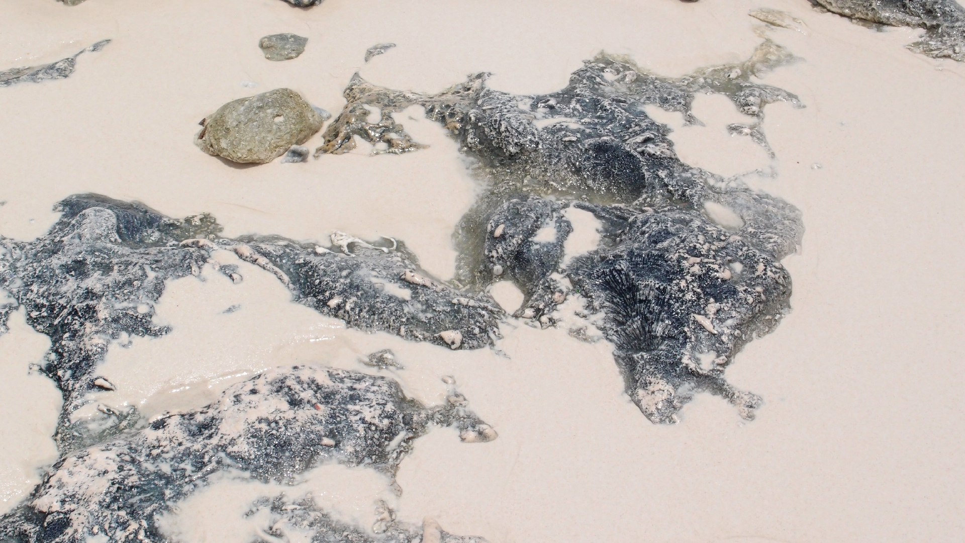 2022-04-25 Cas Abao (Foto)